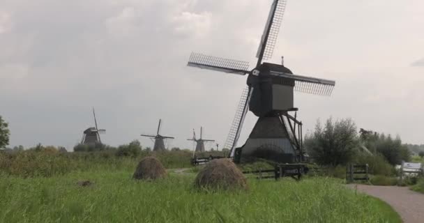 Windmühle in den Niederlanden — Stockvideo