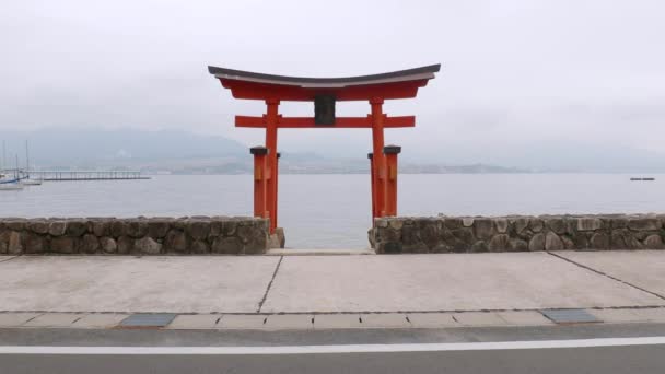 Tori grind vid vattnet i Miyajima, Japan — Stockvideo