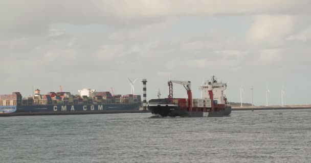 Ship carrying containers through rotterdam — Stock Video