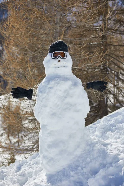 Ritratto di un pupazzo di neve in montagna — Foto Stock