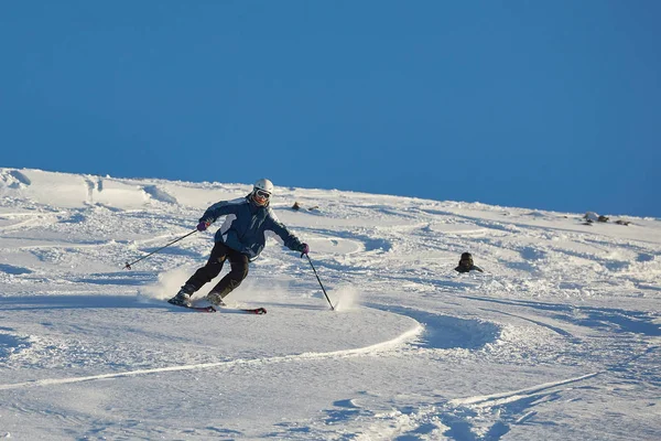 Skifahren im frischen Pulverschnee — Stockfoto