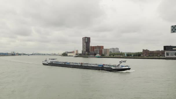 Masowiec towarowy opuszczający port w Rotterdamie — Wideo stockowe
