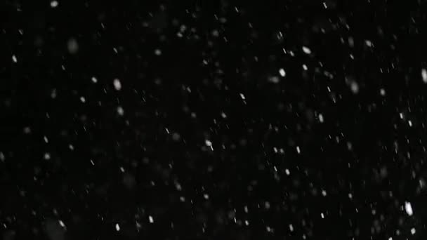 夜に降る雪 — ストック動画