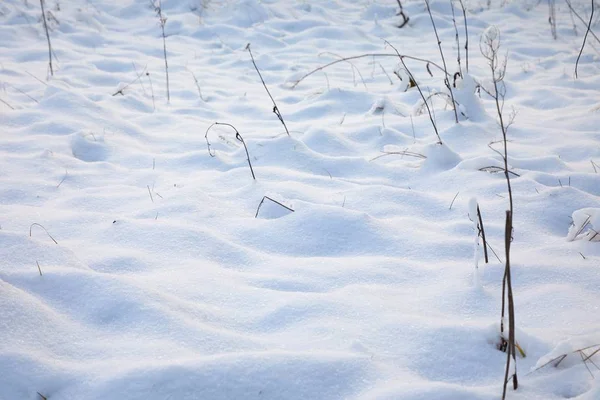 新鮮な雪の冬のフィールドの背景 — ストック写真