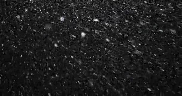 Nieve cayendo por la noche — Vídeo de stock