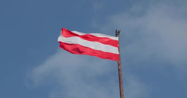 Flag of Brno city in Czech Repuvlic — Stok video