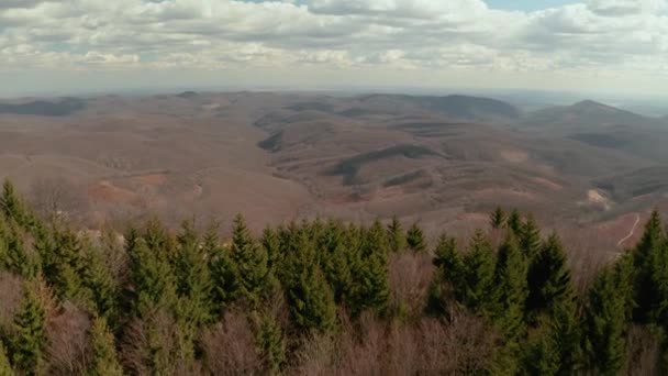 Vista de drones de colinas y bosques — Vídeos de Stock