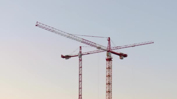 Tall Construction Cranes — Stock Video