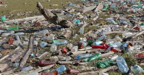 Пластиковые бутылки в воде — стоковое видео