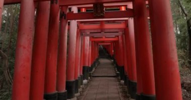 Fushimi Inari Taisha torii kapıları