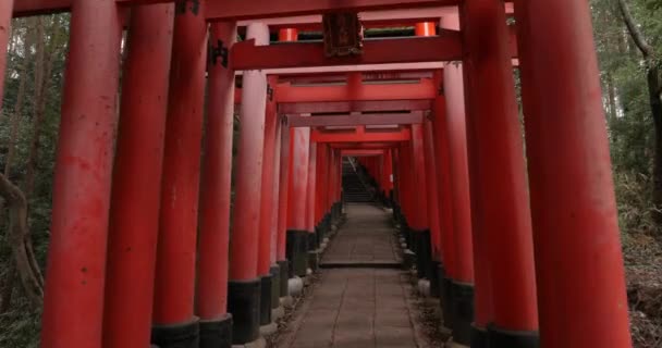 Fushimi Inari Taisha torii kapu — Stock videók
