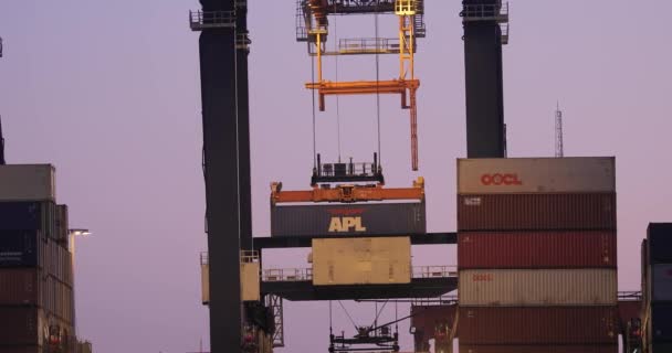 Laadcontainers op een schip bij dageraad — Stockvideo