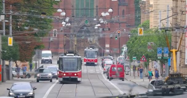 Tranvías en la calle — Vídeo de stock