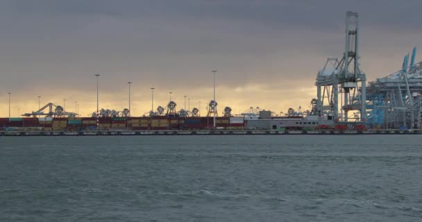 Containerterminal op Rotterdam — Stockvideo