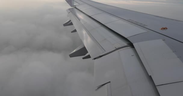 Vliegen op een vliegtuig, flappen op de vleugel — Stockvideo