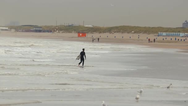 Песчаный пляж в Нидерландах — стоковое видео