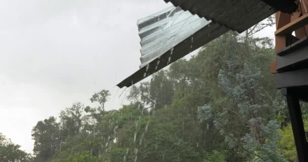 Llueve en un parque — Vídeos de Stock