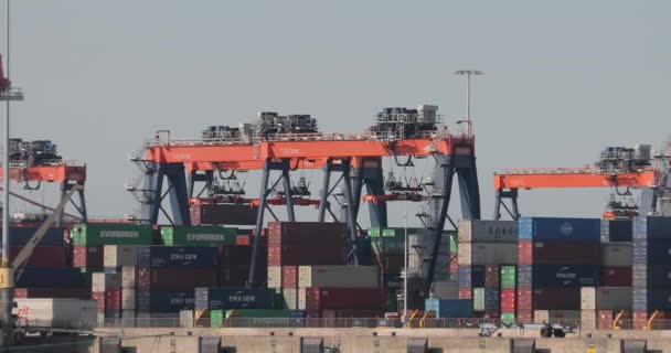 Container in Frachthafen-Terminal bewegt — Stockvideo