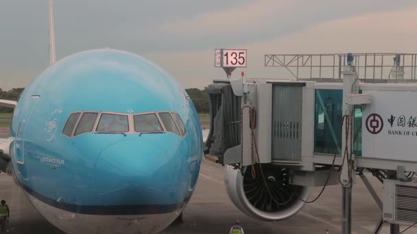 Airplne llegando al aeropuerto, conectando jetbridge — Vídeos de Stock