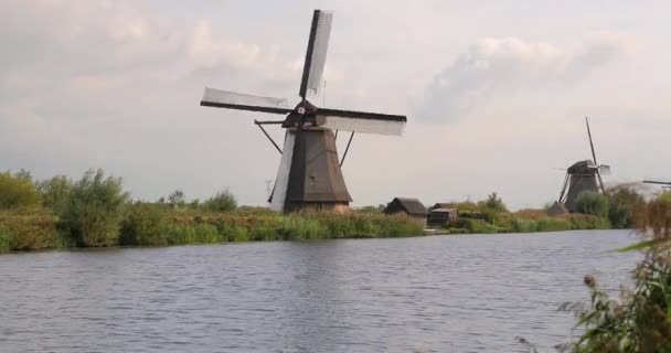Hollanda 'da yel değirmeni — Stok video