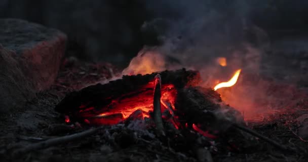 Fuego de campamento llamas, cielo crepuscular — Vídeos de Stock