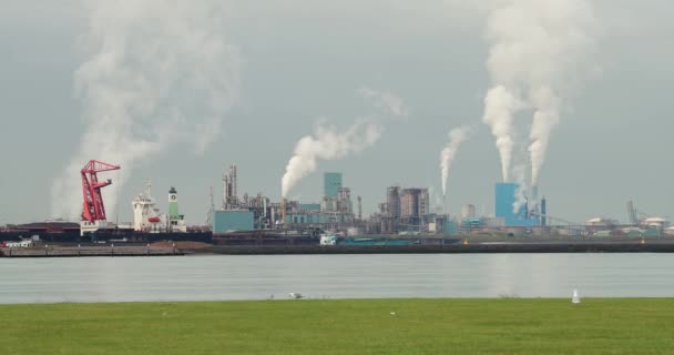 Planta de energía para fumadores y refinería de petróleo — Vídeos de Stock