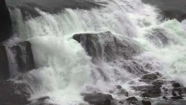 Водопад Исландии — стоковое видео