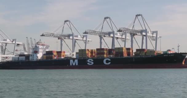 Containerschip in de Rotterdamse haven — Stockvideo