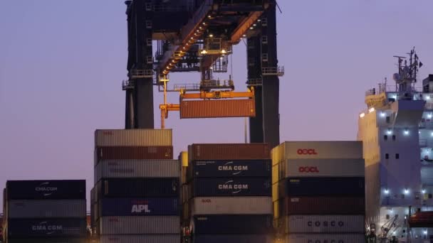Containerverladung auf einem Schiff im Morgengrauen — Stockvideo