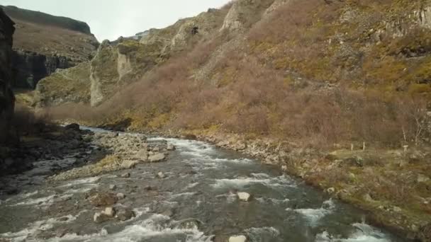 Landschap in IJsland — Stockvideo