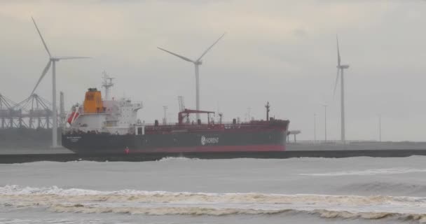 Βιομηχανικό φορτηγό πλοίο που πλέει προς το λιμάνι του Ρότερνταμ — Αρχείο Βίντεο