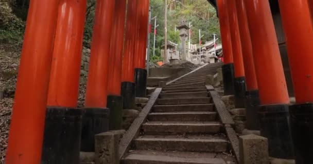 Fushimi Inari Taisha torii kapıları — Stok video