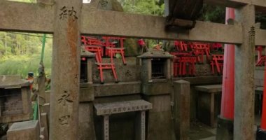 Fushimi Inari Taisha torii kapıları