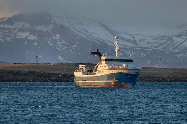 冰岛的渔船 — 图库照片