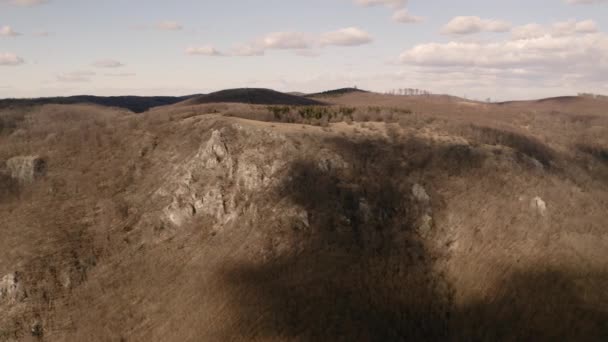 Hegyekre és erdőkre néző drón — Stock videók