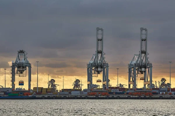 Container Dock in Rotterdam — Stockfoto