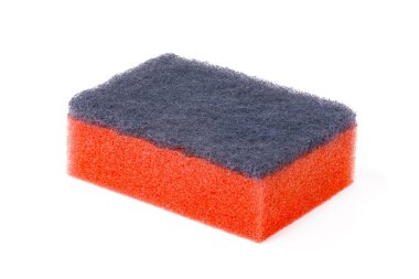 sünger beyazda izole edildi