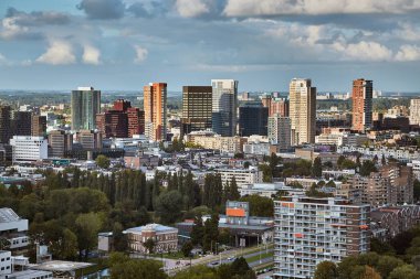 Rotterdam panoramik görünümü