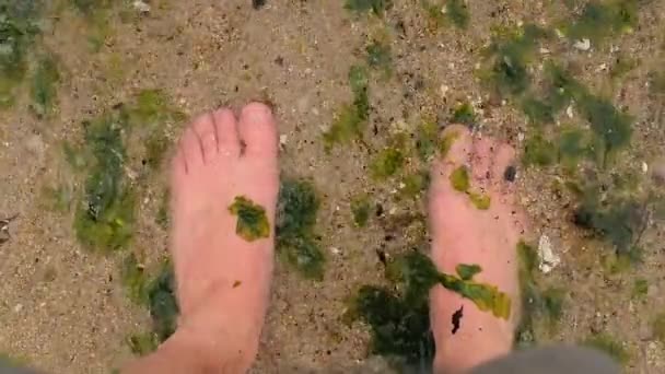 Bare voeten op een strand zeewier in het water — Stockvideo