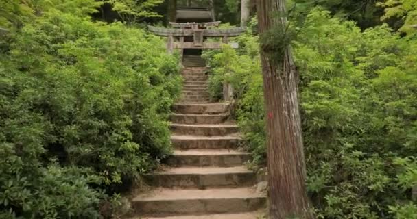 Stairs in a park leading to a shrine — Stock Video
