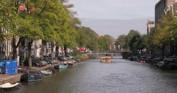 Amsterdam oude houten brug — Stockvideo