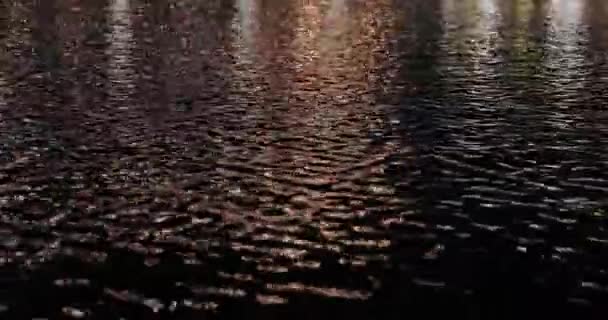 Parco notturno lago superficie dell'acqua — Video Stock