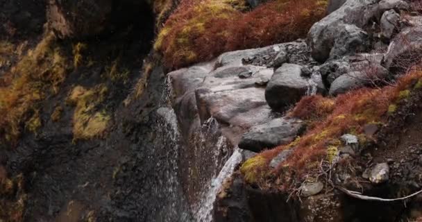 Waterfall in wind gusts — Stock Video