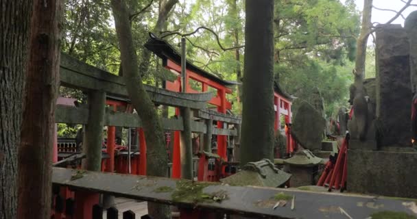 Fushimi Inari Taisha torii poorten — Stockvideo