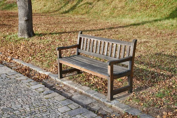 Autumn leaves on bench — Stock Photo, Image