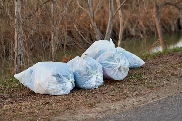 Σακούλες σκουπιδιών στην όχθη του ποταμού — Φωτογραφία Αρχείου