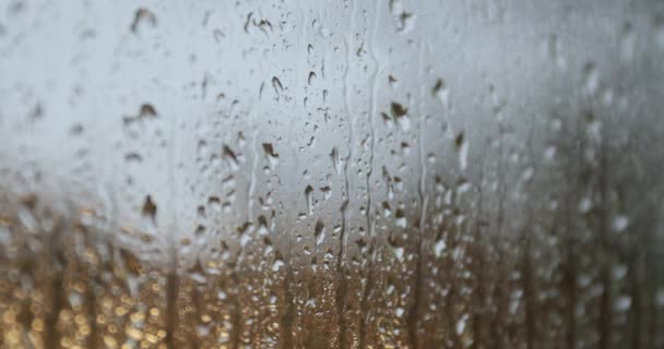 Дождевая поверхность окна — стоковое видео