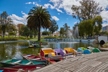 Güneşli gölet ve parkta yüzen tekneler.