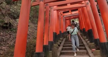 Fushimi Inari Taisha torii kapıları
