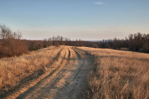 Countriside dirt road landscape, pale autumn — Stock Photo, Image